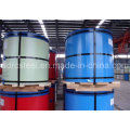 Prepainted Galvanized Steel Coil for Building Industry